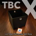 TBC X - Luca Volpe & Alan Wong 