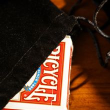 The Nature Bag - TCC y Casey Tang 