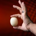 Magic Sponge Egg 4pk - Murphy's Magic 