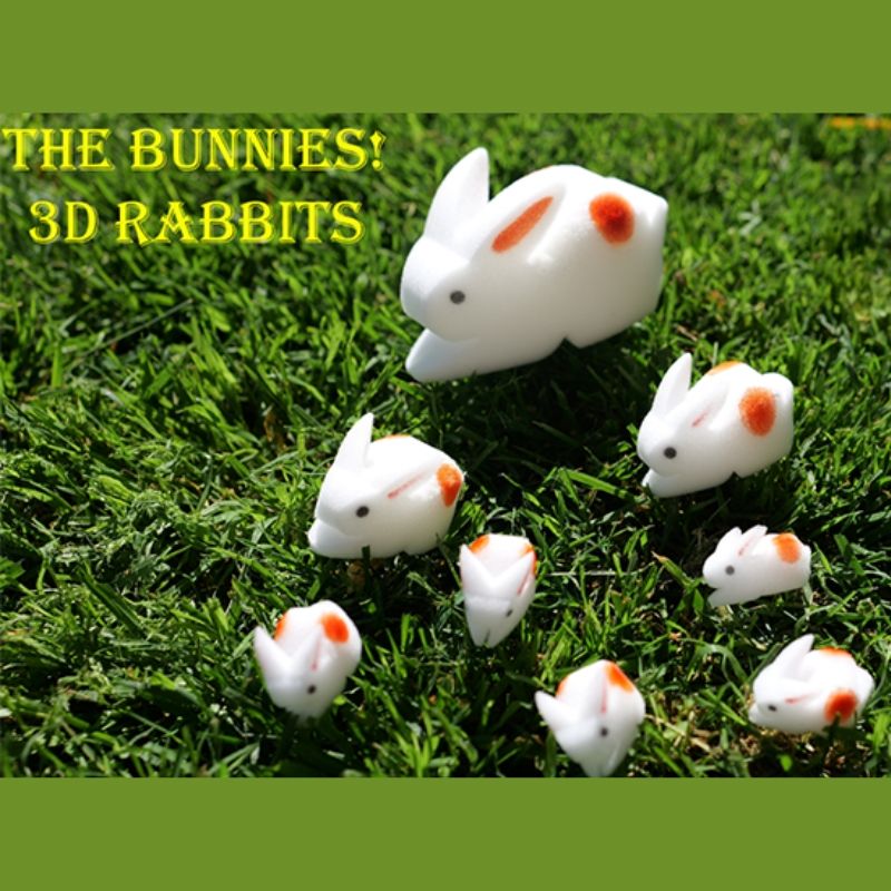 The Bunnies! 3D Rabbits 