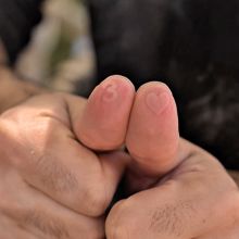 No Pain No Gain - Adrian Vega y Gonzalo Albiñana 