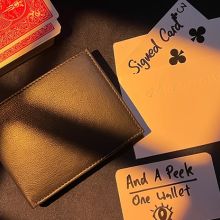 Virtuoso Wallet - Gerard Kearney 
