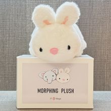 Morphing Plush  - Jackie Zhao y JT Magic 