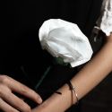 Fantasy Rose - Leon, Bond Lee y MS Magic 