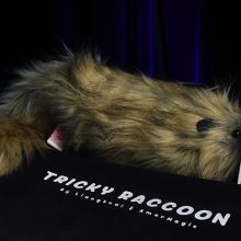Tricky Raccoon - Liang Kuai y Amor Magic 