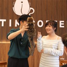 Tricky Raccoon - Liang Kuai y Amor Magic 