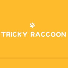Tricky Raccoon - Liang Kuai & Amor Magic 