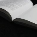 On Second Thought... Mentalism, Meaning, y Performance - Paul Draper 
