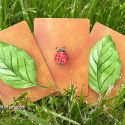 Lucky Ladybug  - Joshua Ray y Deuce Gala Magic 