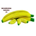 Multiplying Bananas (5 piece) 