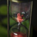 TIME - Yoan TANUJI y Magic Dream 
