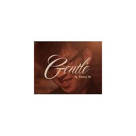 DVD - Gentle - Danny Ho (VE MA)
