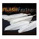 Flash Feathers (10u.)