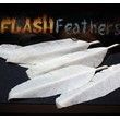 Flash Feathers (10u.)